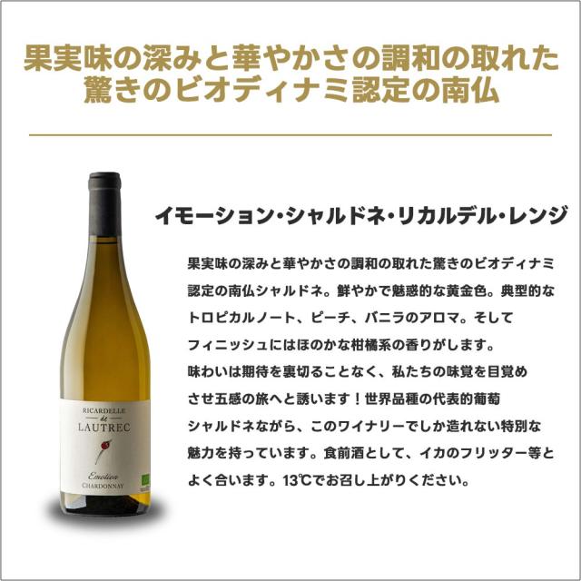 キング オブ ナチュールワインセット [750ml×6本] 自然派 ナチュール ナチュラルワイン_6