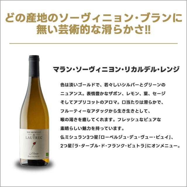 超コスパ ナチュールワインも入った キング オブ オーガニック ワインセット 第1弾 [750ml×12本]