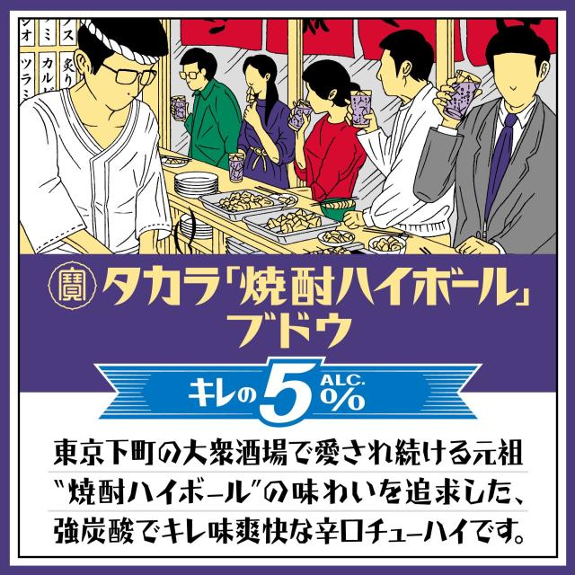 宝 タカラ 焼酎ハイボール キレの5％ ブドウ 500ml×2ケース/48本 缶チューハイ 数量限定 ぶどう ハイボール
