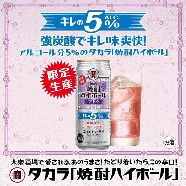 宝 タカラ 焼酎ハイボール キレの5％ ブドウ 500ml×2ケース/48本 缶チューハイ 数量限定 ぶどう ハイボール