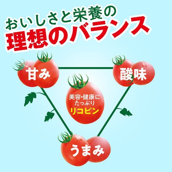 伊藤園 理想のトマト パック 200ml×4ケース/96本 トマトジュース トマト飲料 ITOEN とまと tomato_1