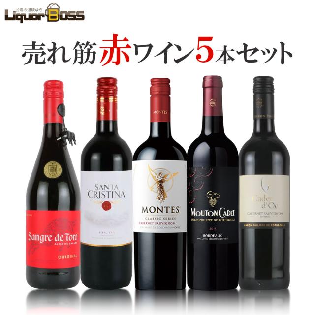 【送料無料】 ワインセット 当店厳選！売れ筋赤ワイン 750ml×5本セット【北海道・東北・九州・四国・沖縄県は必ず送料が掛かります】