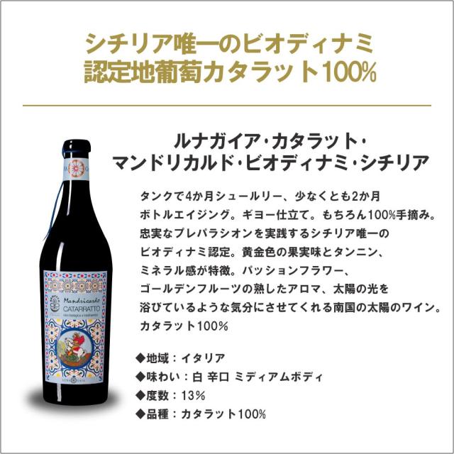 超コスパ ナチュールワインも入った キング オブ オーガニック ワインセット 第1弾 [750ml×12本]