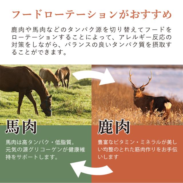 ギフトナー ローテーションセット ベニソンレシピ×1 馬肉レシピ×2 国産 無添加 馬肉 鹿肉 ベニソン 全年齢 GIFTNER_11