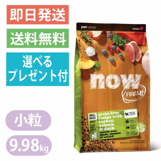 ナウフレッシュ グレインフリー スモールブリード アダルト 9.98kg 小粒 ドッグフード NOW FRESH 成犬用 超小粒 ターキー サーモン ダッ