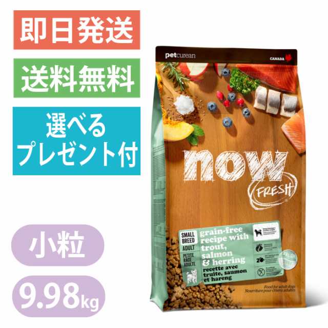 ナウフレッシュ グレインフリー スモールブリード フィッシュ アダルト 9.98kg 小粒 ドッグフード NOW FRESH 成犬用 超小粒 トラウト鱒