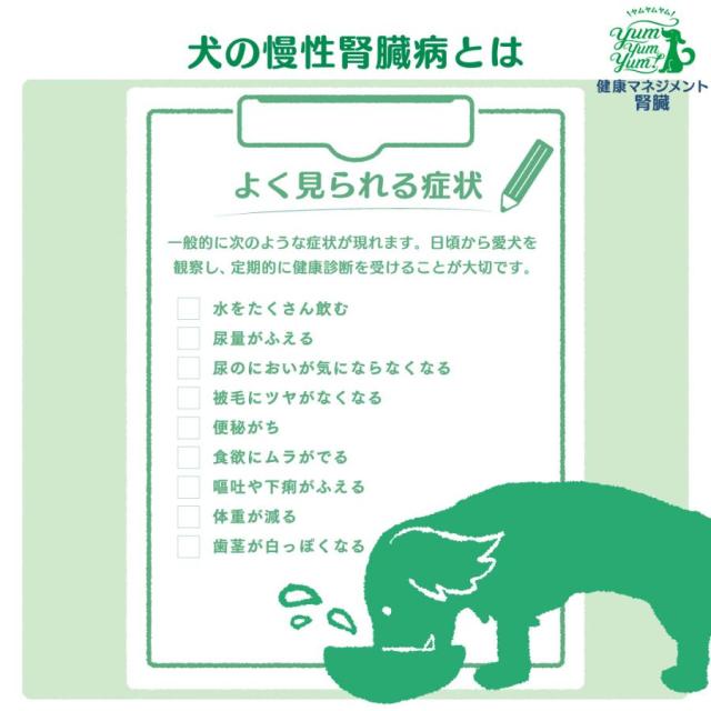 ヤムヤムヤム 健康マネジメント 腎臓 チキン 1.3kg 超小粒