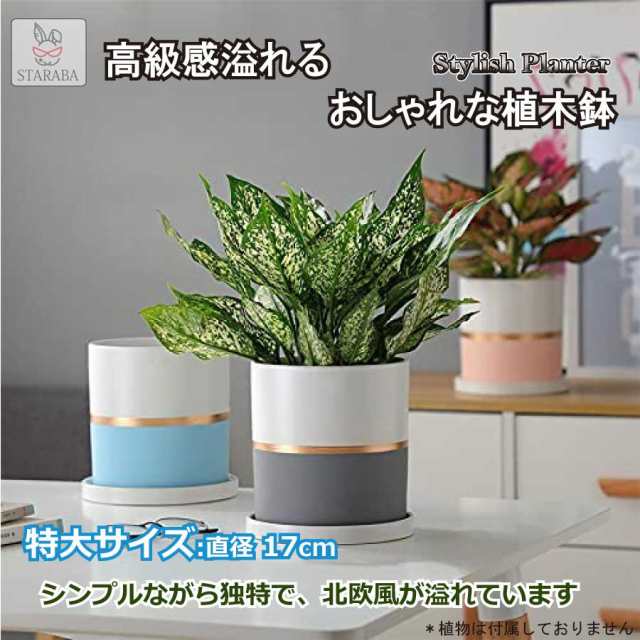 特大サイズ 陶器鉢 17ｃｍ 植木鉢 おしゃれ 鉢植え プランター 円筒形