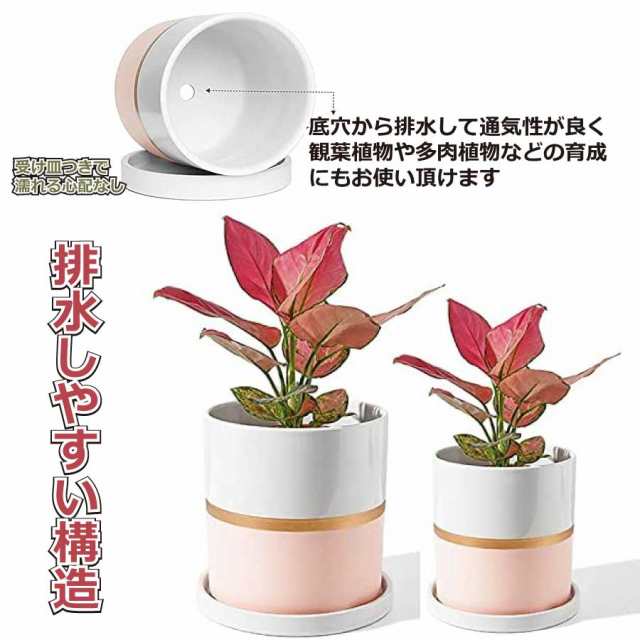 特大サイズ 陶器鉢 17ｃｍ 植木鉢 おしゃれ 鉢植え プランター 円筒形 室内鉢 受け皿付き 穴あり 多肉植物 観葉植物鉢 送料無料の通販はau  PAY マーケット - スタラバ au PAY マーケット店 | au PAY マーケット－通販サイト