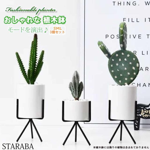 円柱 ３点セット 8cm おしゃれ 多肉植物鉢 サボテン鉢 陶器鉢プランター 観葉植物鉢 インテリア 陶器鉢 スタンド 室内鉢 事務室 北欧風 装飾 母の日 プレゼント ギフト 送料無料