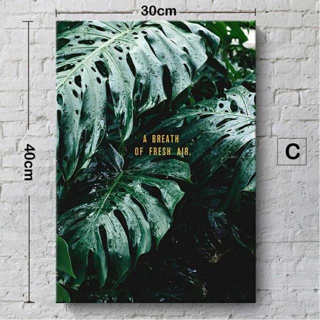 3枚セット ファブリック 絵画 植物 モンステラ パネル オシャレ 人気