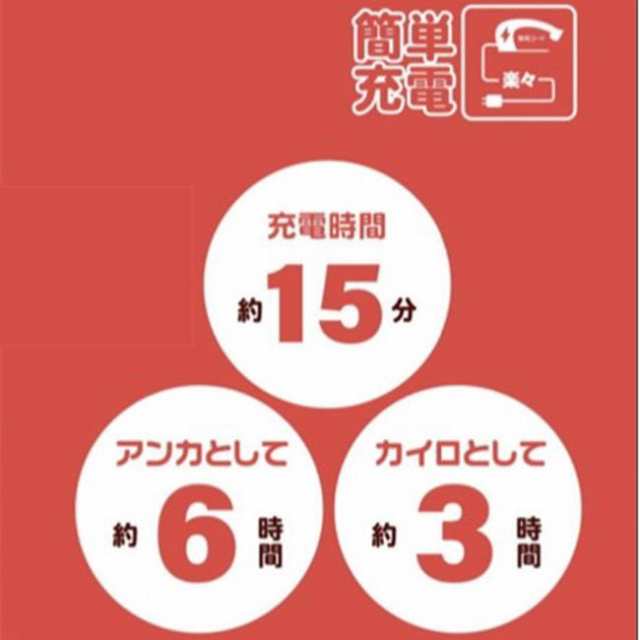 エコロジー湯たんぽ エコタンポ 蓄熱式 湯たんぽ 充電式 お湯の