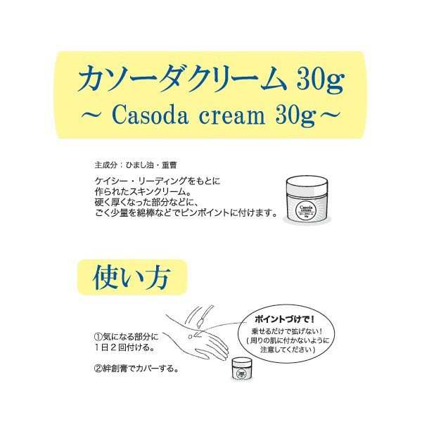 Casoda 30g カソーダクリーム 30g 日本製 ひまし油 重曹 肌ケア ナチュラル オーガニック スキンケア ピンポイントケアの通販はau Pay マーケット Agetuya Official Site