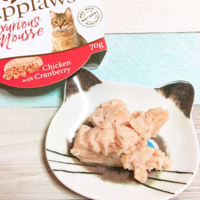 最短賞味2021.7・アプローズ 猫 チキンとクランベリーのムース70g 成猫 