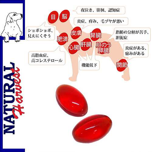 最短賞味22 11 クリルオイル 無臭タイプ 180粒 犬猫用 ナチュラルハーベスト カントリーロード Nhの通販はau Pay マーケット なちゅのごはん