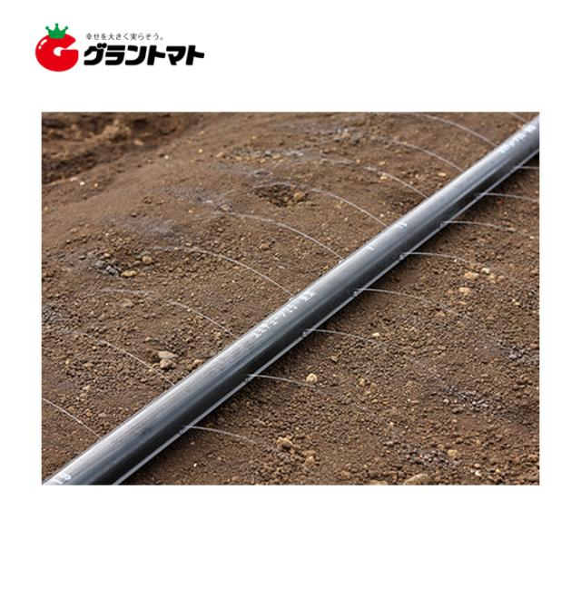 スミチューブ25 イチゴ用 0m 潅水チューブ 住友農業資材の通販はau Pay マーケット グラントマト