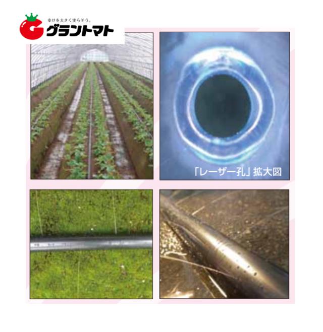 セフティ 灌水チューブ 青 片面 P150 0 15mm 50mm 0m レーザー孔 潅水 灌水 シーアイ化成の通販はau Pay マーケット グラントマト