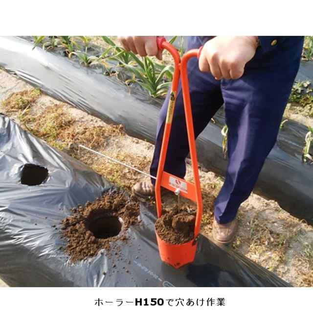 植穴あけ器 ホーラー H105 サンエー - 園芸用資材