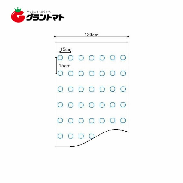 ホールマルチ 3715 黒色 パック売り3本 穴あきマルチ 7列15ｃｍ間隔 0 02ｍｍ130ｃｍ0ｍの通販はau Pay マーケット グラントマト