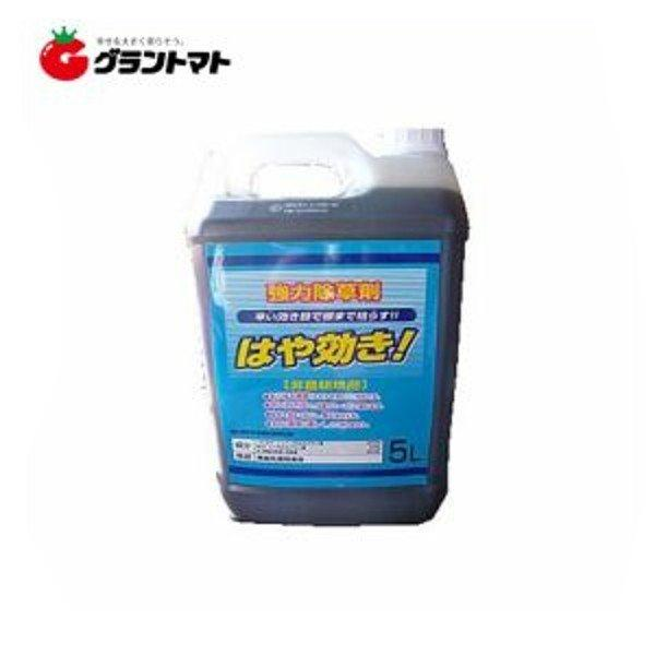 はや効き 5L 除草剤 希釈タイプ 非農耕地用 グリホサート34% MCP入りの通販は
