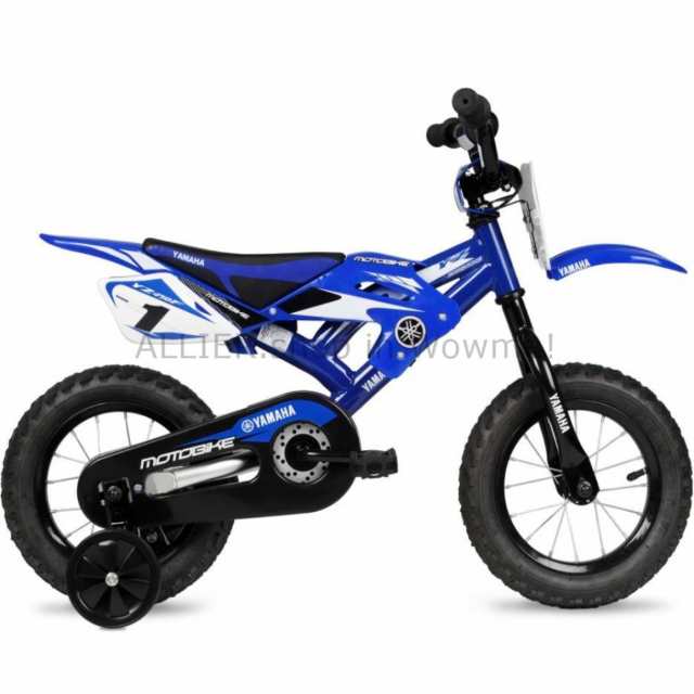 two year old bike