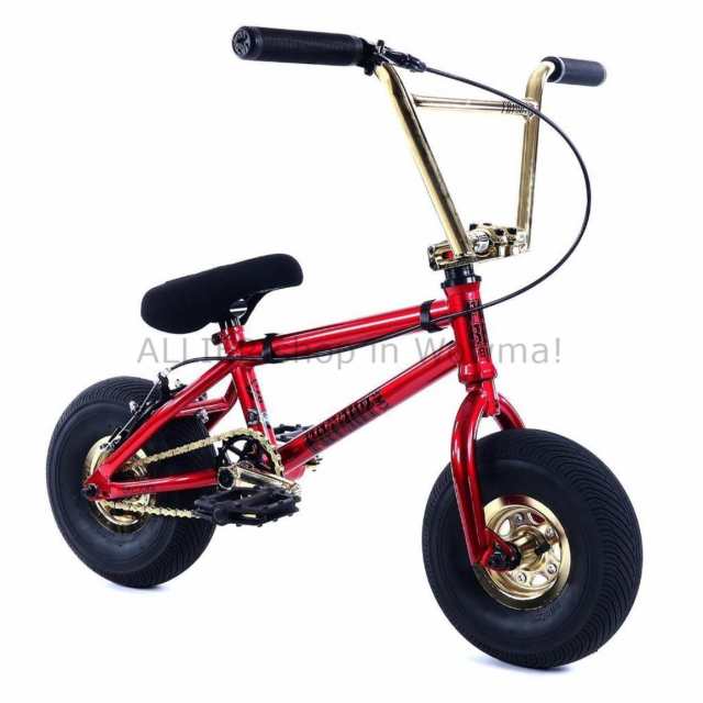 bmx fatboy