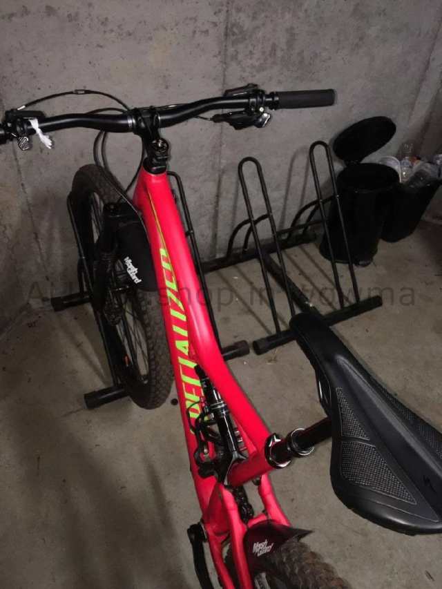 mtb specialized camber