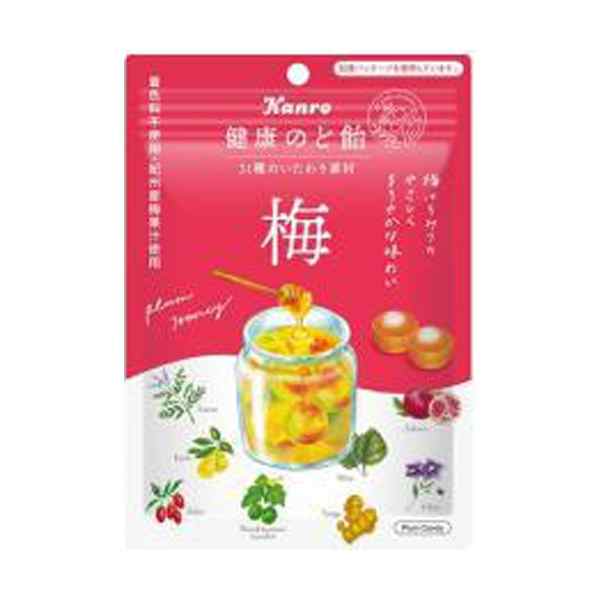 カンロ 健康のど飴 梅 90g 48コ入り 2023/03/06発売 (4901351001738c)