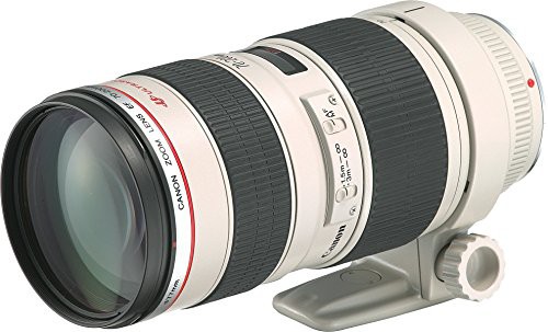 Canon 望遠ズームレンズ EF70-200mm F2.8L USM フルサイズ対応(中古品)