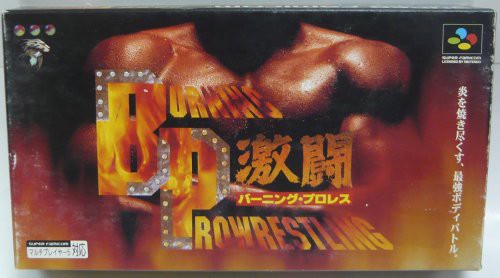 激闘バーニングプロレス(中古品)