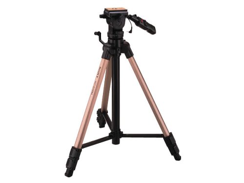 動確済 美品】Nikon D810 シャッターカウント:43,300 #665