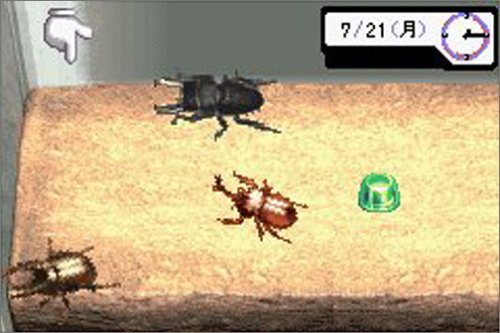 みんなの飼育シリーズ3 ぼくのカブト・クワガタ(中古品)の通販はau PAY