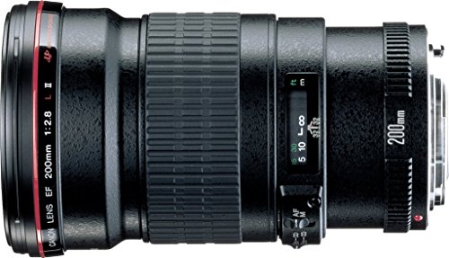 SIC【極美品】ニコン Ai-s Nikkor 50mm F1.4 866