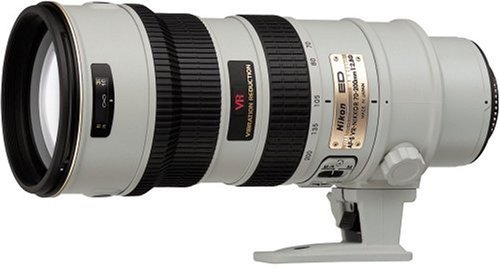 Nikon AF-S VR Zoom Nikkor ED 70-200mm F2.8G (IF) ライトグレー(中古品) 