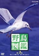 野鳥図鑑 第3集 [DVD](中古品)の通販は 7,989円