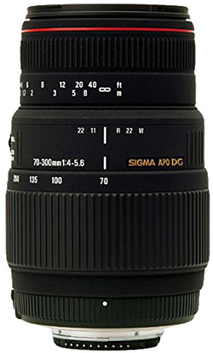 SIGMA 望遠ズームレンズ APO 70-300mm F4-5.6 DG MACRO キヤノン用 フルサ (中古品)の通販は