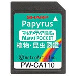 「未使用品」シャープ コンテンツカード 植物・昆虫図鑑カード PW-CA110 (PW-J5000対応)(中古品)