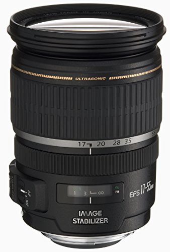 Canon 標準ズームレンズ EF-S17-55mm F2.8 IS USM APS-C対応(中古品)