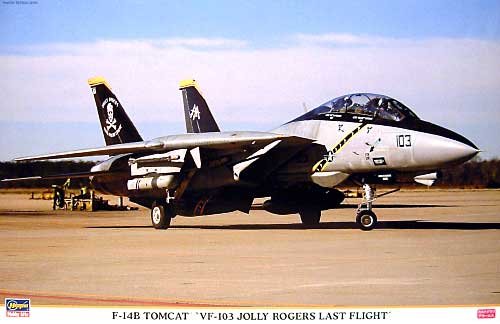 ハセガワ 1/48 航空機シリーズ（定番外） No.09677 Ｆ-14B トムキャット 「(中古品)