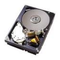 「非常に良い」Maxtor Diamond Max10 3.5インチ内蔵型HDD 250GB/S-ATA 6V250F0(中古品)