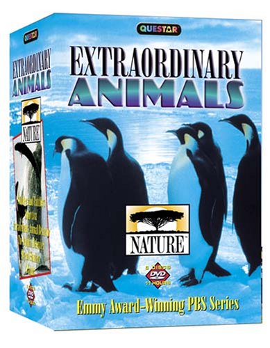 中古】(未使用・未開封品)吹けよ、ミプン DVD-BOX1の通販は