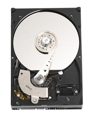 「非常に良い」WESTERN DIGITAL 3.5インチ内蔵HDD 160GB Serial-ATA3.0Gb 7200rpm 8MB WD1(中古品)