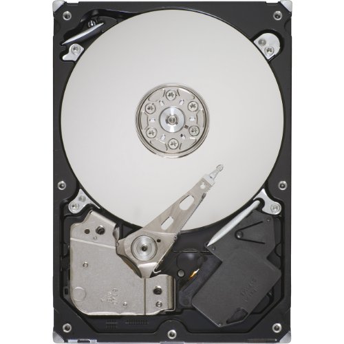 Seagate 3.5インチ内蔵HDD 250GB S-ATA300 7200rpm NCQ 8MB RoHS ST3250310(中古品)の通販は