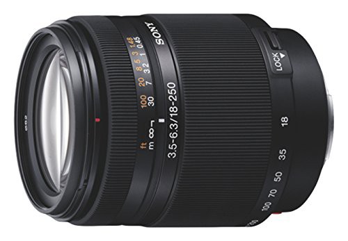 ソニー SONY DT 18-250mm F3.5-6.3 SAL18250(中古品)の通販は