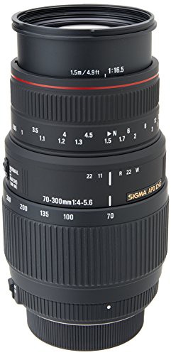 SIGMA 望遠ズームレンズ APO 70-300mm F4-5.6 DG MACRO ニコン用 フルサイ (中古品)