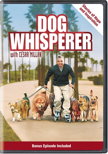 「非常に良い」Dog Whisperer: Stories of Hope & Inspiration [DVD] [Import](中古品)