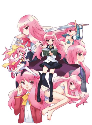 ゼロの使い魔 迷子の終止符と幾千の交響曲(通常版)(中古品)の通販は 6,970円