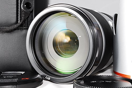 非常に良い」ソニー SONY ズームレンズ(70-400mm F4-5.6 G SSM 