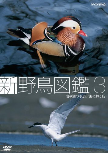 新 野鳥図鑑 第3集 池や湖の水鳥/海に舞う鳥 [DVD](中古品)の通販はau