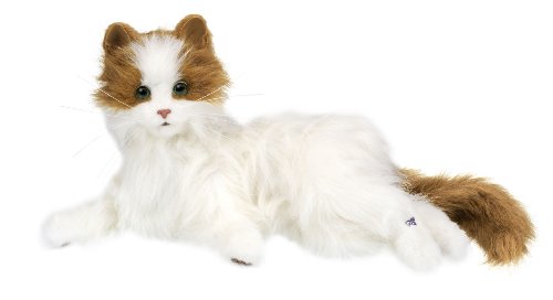 夢ねこ ヴィーナス(中古品)